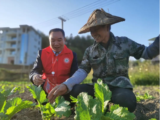 福建農(nóng)信新一期“鄉(xiāng)村振興貸”投放突破10億元，占全省七成以上